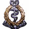 Combined Military Hospital CMH logo